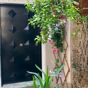 Guest house Il Vicoletto, Naples